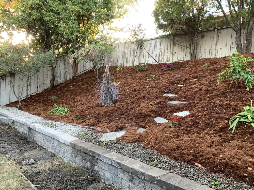 Custom outdoor landscaping for outdoor upgrades in San Luis Obispo, CA by Manuel's Gardening
