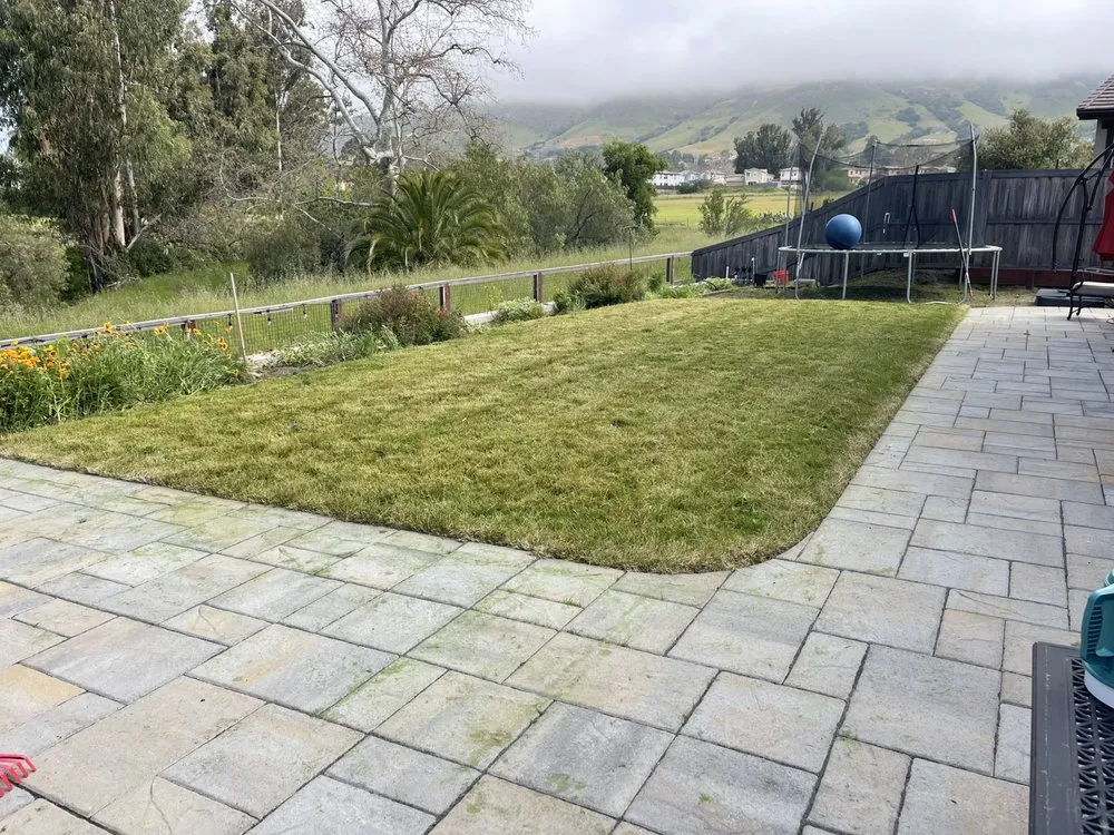 Affordable landscape design with custom design across San Luis Obispo, CA - Manuel's Gardening