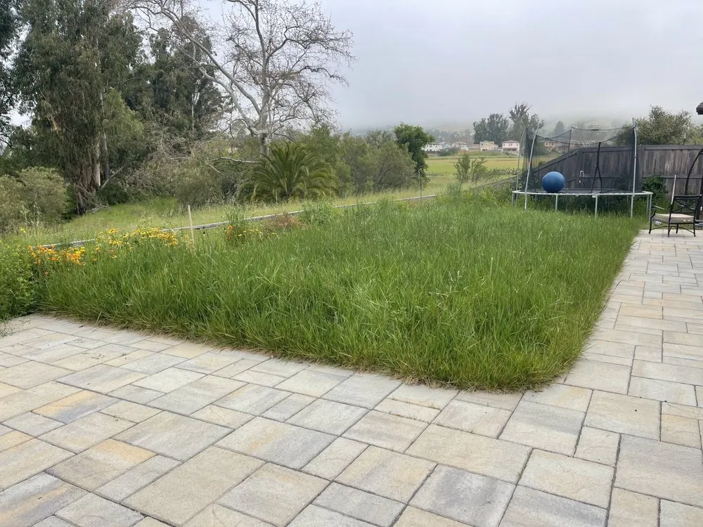 Reliable lawn care service in San Luis Obispo, CA by Manuel's Gardening