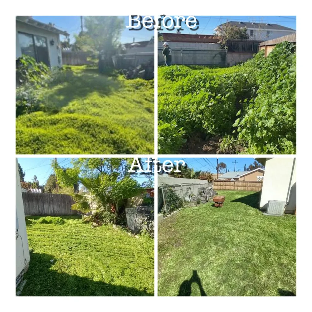 Top-rated garden landscaping for outdoor upgrades in West Covina, CA by Manuel's Gardening