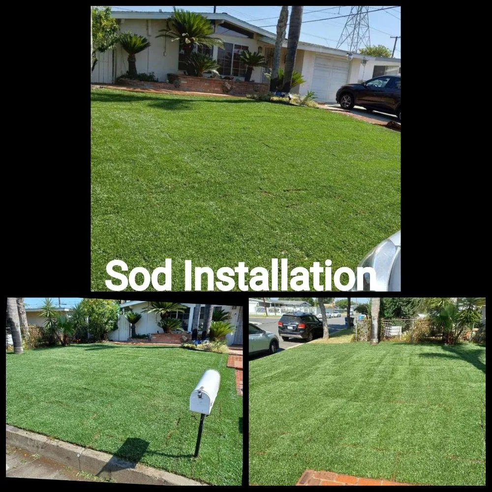 Affordable landscape installation with custom design in West Covina, CA by Manuel's Gardening
