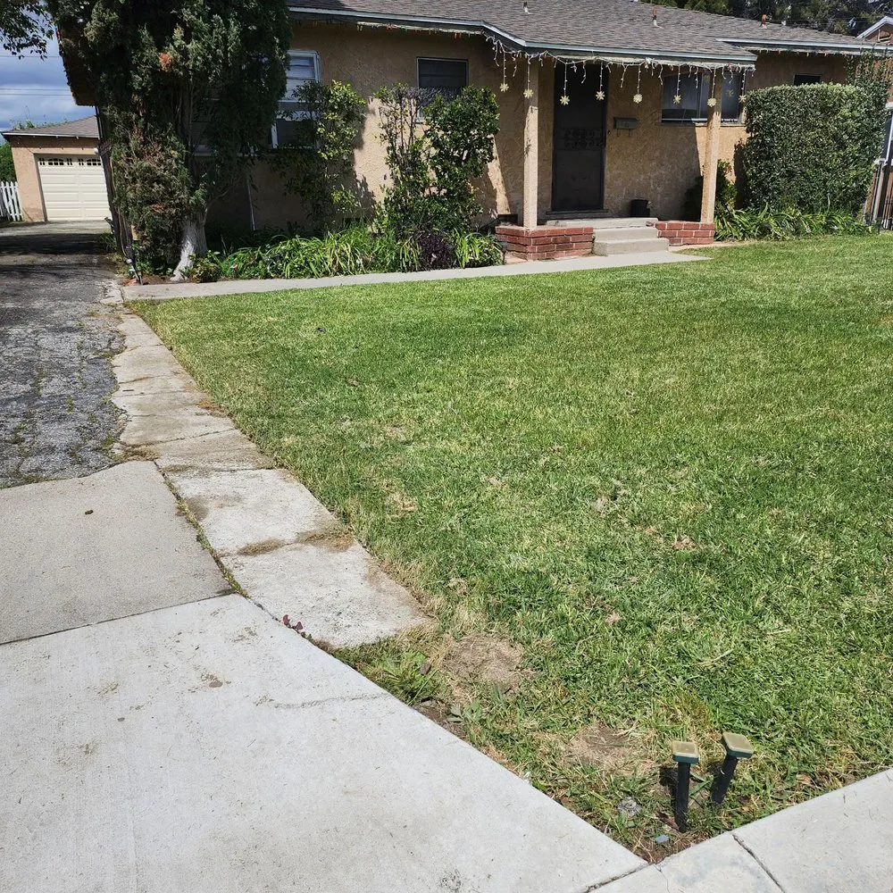 Professional lawn care service in West Covina, CA - Manuel's Gardening