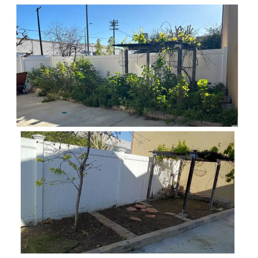 Reliable yard maintenance for homes in West Covina, CA by Manuel's Gardening