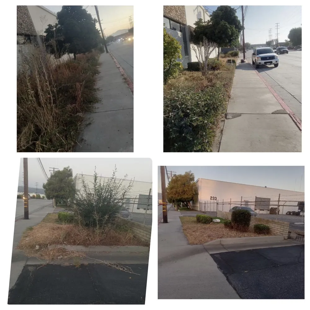 Local garden landscaping in West Covina, CA by Manuel's Gardening