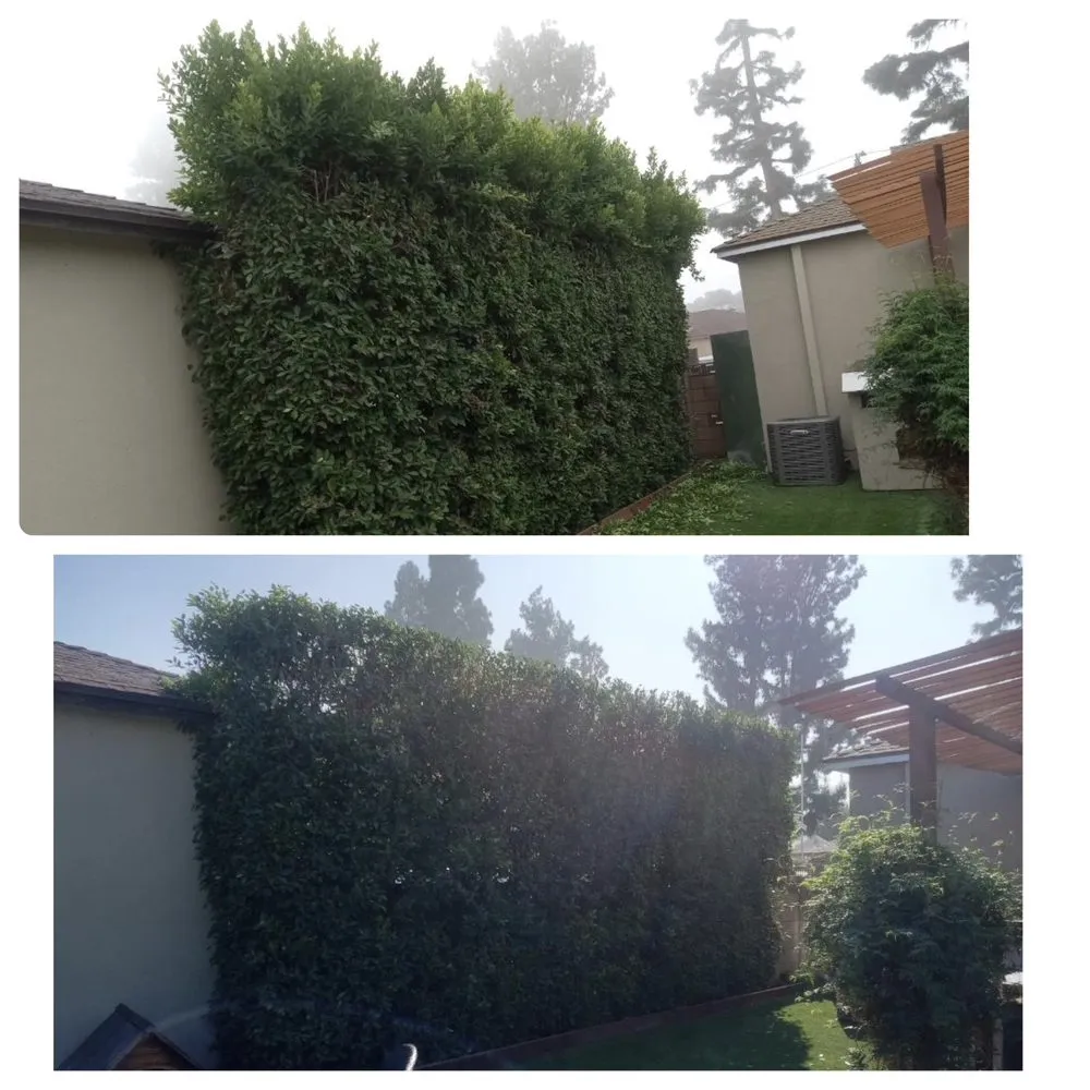 Top-rated landscape installation for beautiful yards in West Covina, CA by Manuel's Gardening