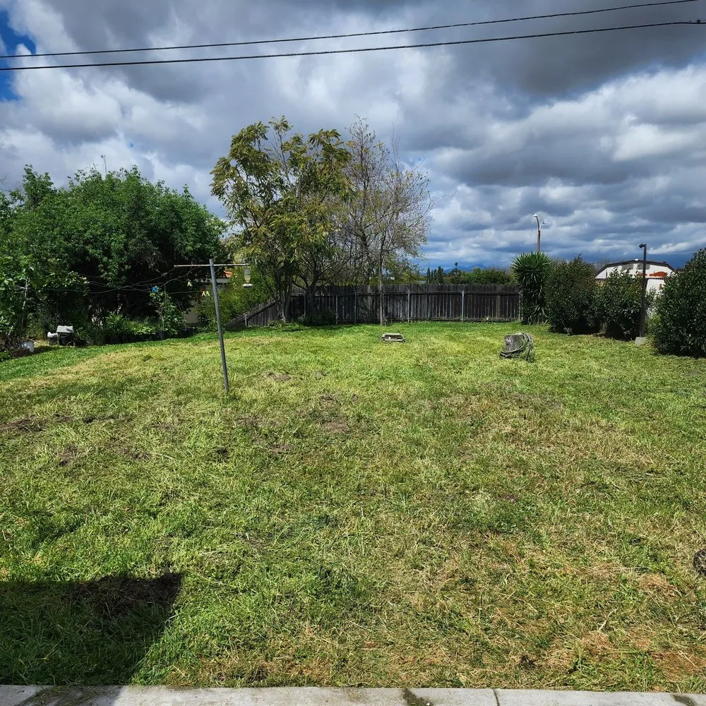 Affordable garden landscaping experts serving West Covina, CA - Manuel's Gardening