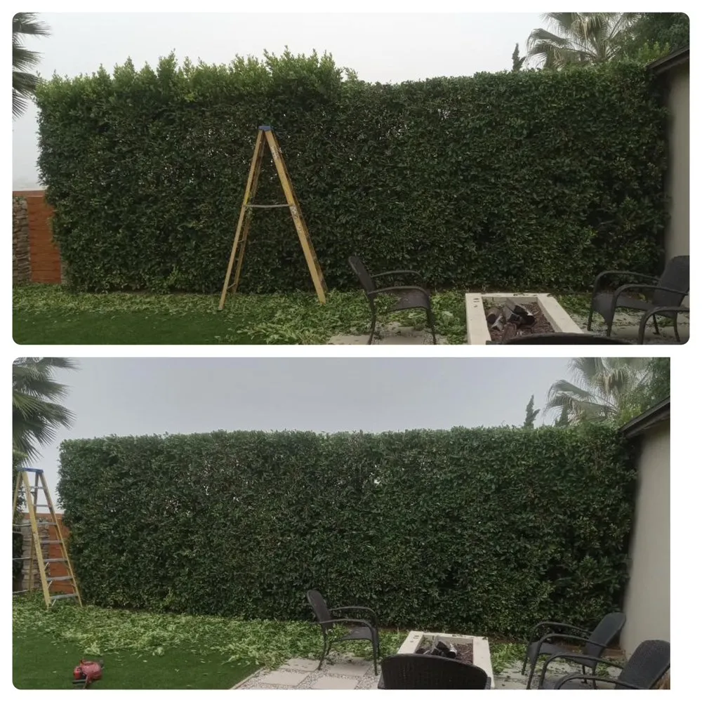 Local yard cleanup service near you in West Covina, CA by Manuel's Gardening