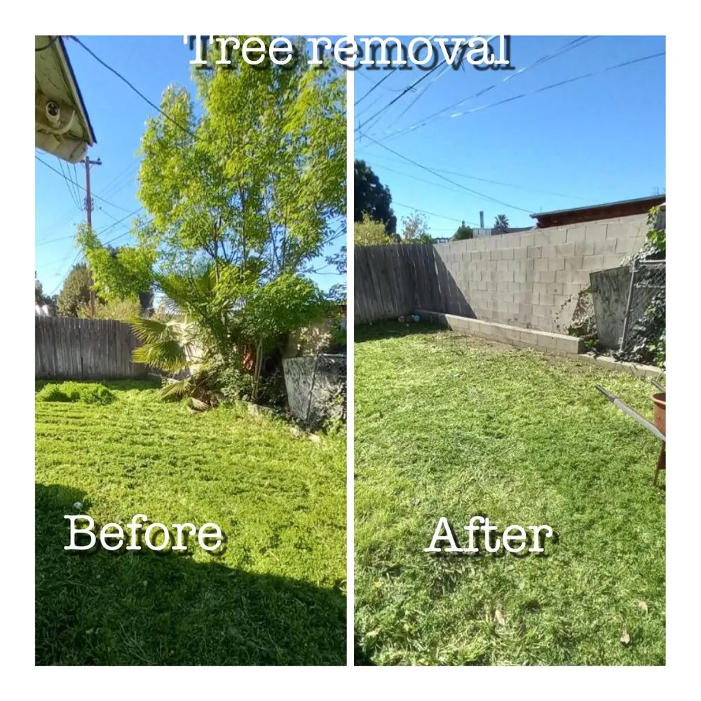 Trusted landscaping services experts serving West Covina, CA - Manuel's Gardening