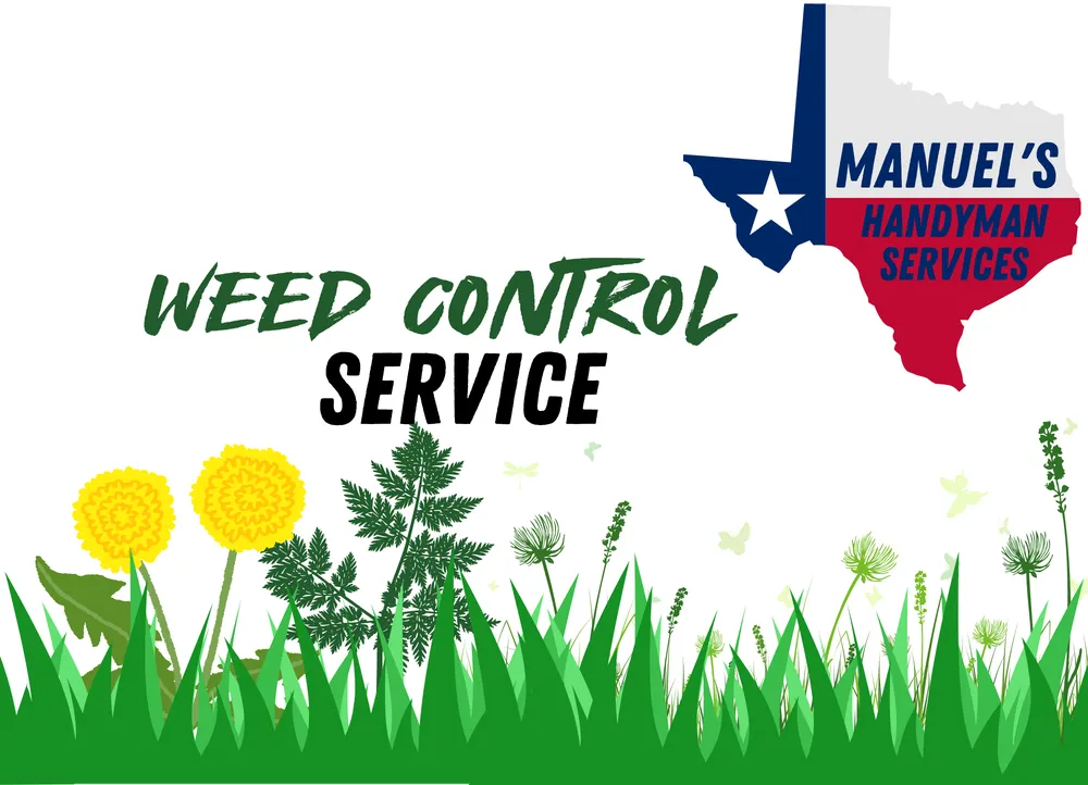 Top-rated landscape design in Sugar Land, TX by Manuels Handyman Services