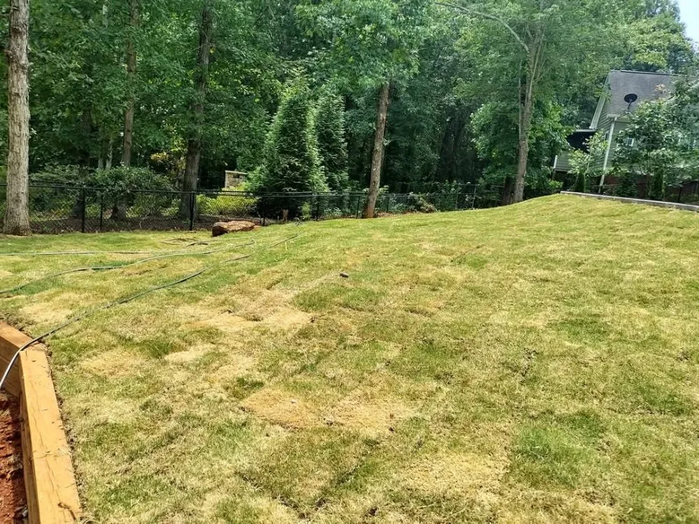 Affordable residential landscaping for outdoor upgrades across Winder, GA - Manuel's Landscaping