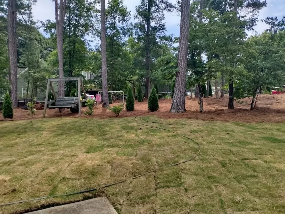 Professional yard maintenance experts serving Winder, GA - Manuel's Landscaping