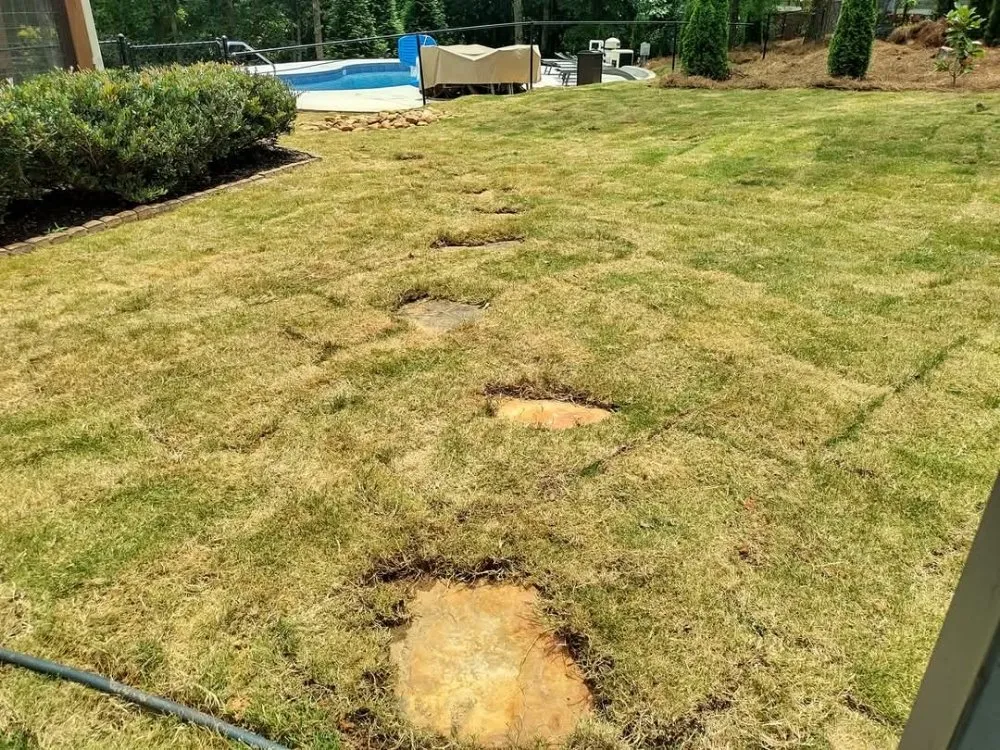 Expert yard maintenance in Winder, GA by Manuel's Landscaping