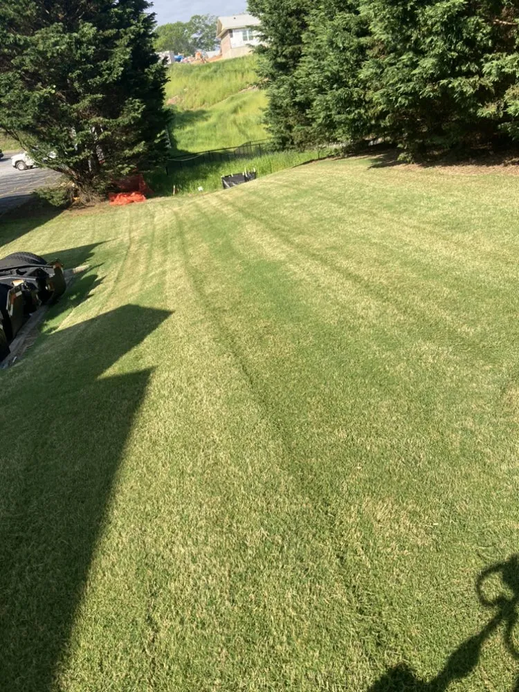 Custom residential landscaping experts serving Gainesville, GA - Manuel’s lawn care
