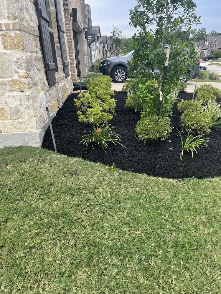 Expert yard cleanup service for year-round maintenance across Cleveland, TX - Manuel's Lawn Service & Landscaping