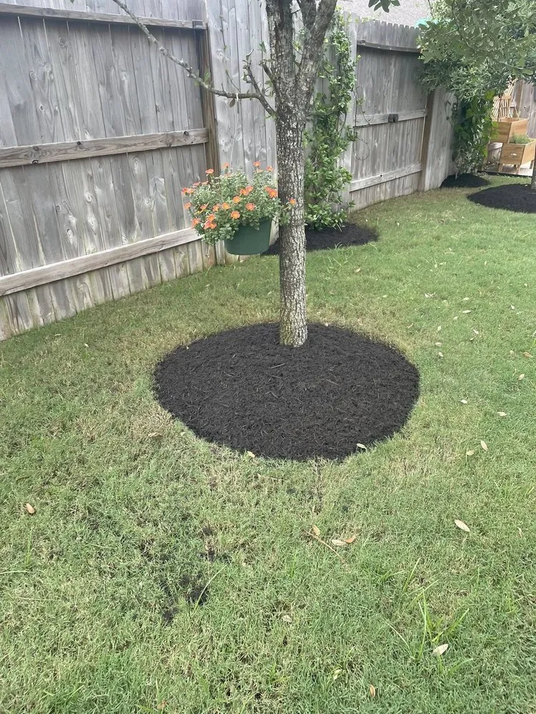 Professional landscape installation for homes in Cleveland, TX by Manuel's Lawn Service & Landscaping