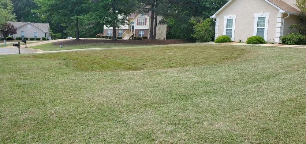 Professional landscaping services in Newnan, GA - Manuel's Lawnscape