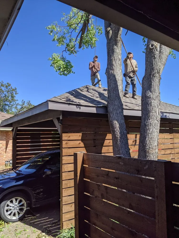 Expert outdoor landscaping for residential properties across Dallas, TX - Manuel's Tree & Garden