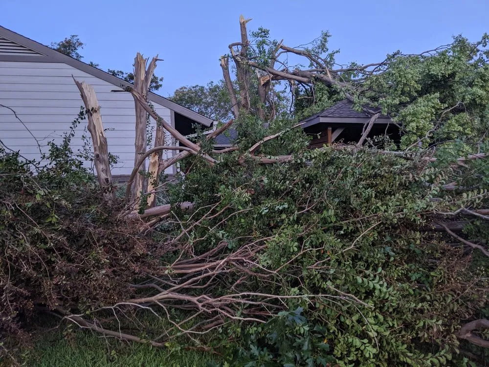 Trusted lawn care service with custom design across Dallas, TX - Manuel's Tree & Garden