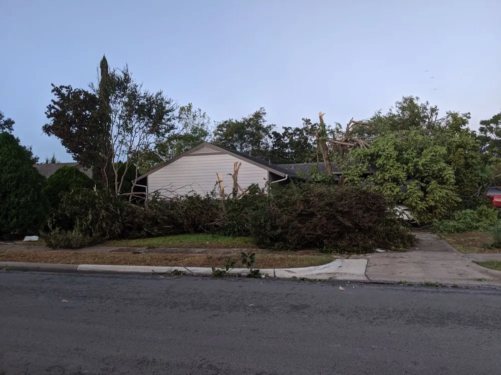 Professional garden landscaping for beautiful yards across Dallas, TX - Manuel's Tree & Garden