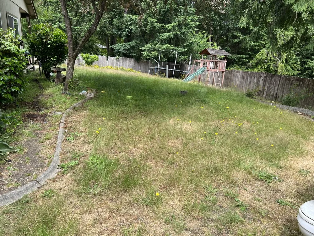 Local yard maintenance for residential properties across Belfair, WA - Manuel’s Tree Service & Landscaping