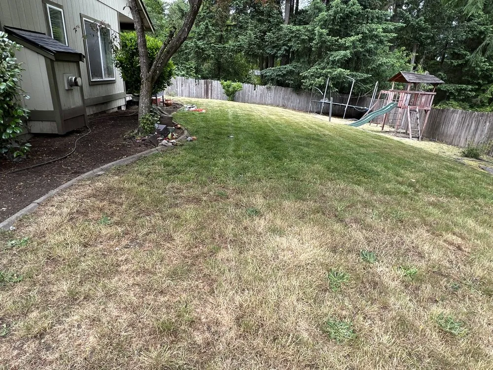 Affordable landscape installation experts serving Belfair, WA - Manuel’s Tree Service & Landscaping