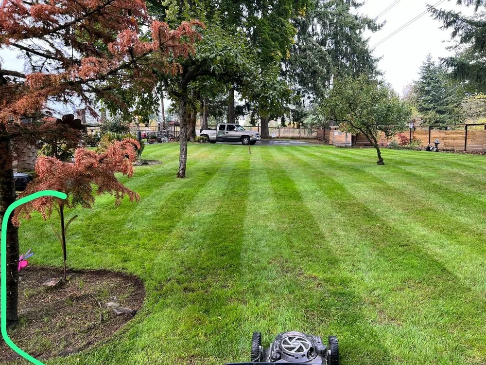 Custom landscape design for beautiful yards in Belfair, WA by Manuel’s Tree Service & Landscaping