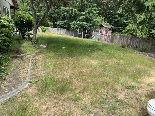 Manuel’s Tree Service & Landscaping Logo