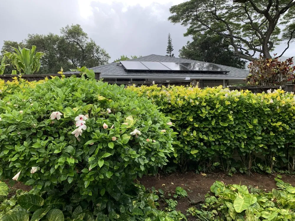 Custom yard maintenance for homes across Honolulu, HI - Manuel's Yard Service
