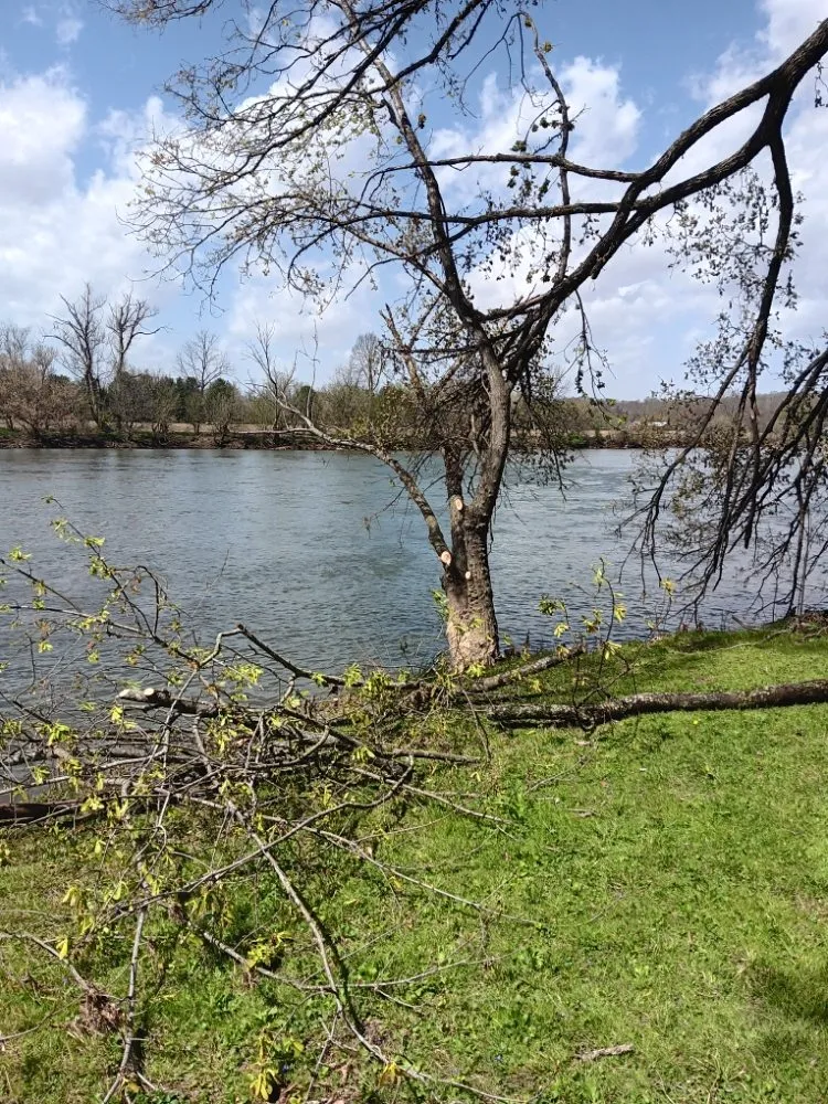 Local outdoor landscaping in Bristol, TN - Many Trades