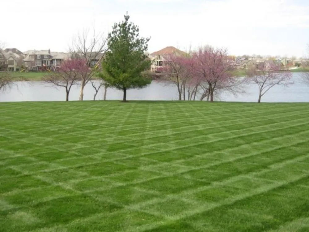 Expert landscape design for year-round maintenance across Bristol, TN - Many Trades