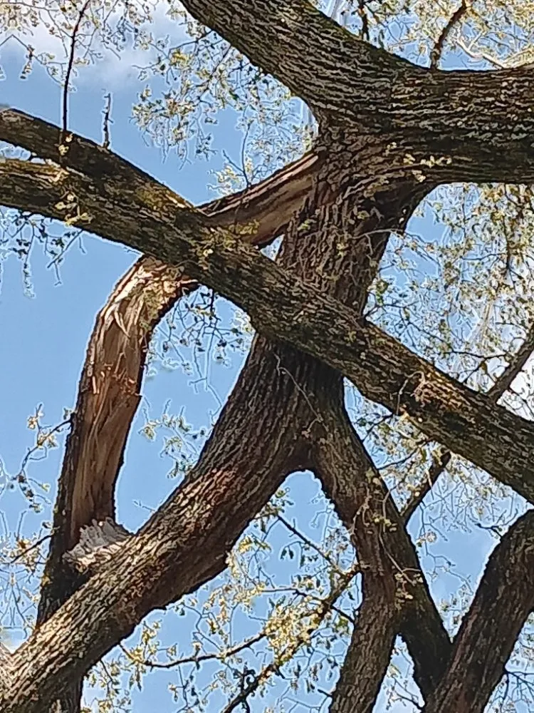 Reliable outdoor landscaping in Bristol, TN by Many Trades