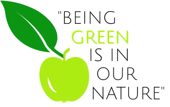 Top-rated yard maintenance experts serving Santa Rosa, CA - Manzanita Landscape & Construction