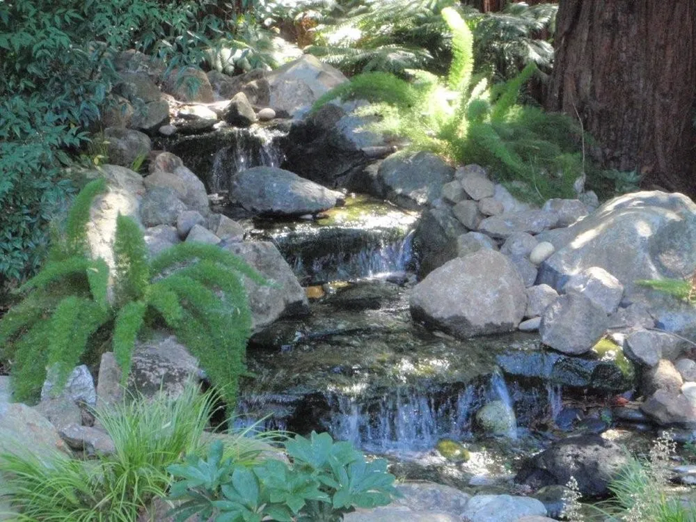Local garden landscaping experts serving Santa Rosa, CA - Manzanita Landscape & Construction