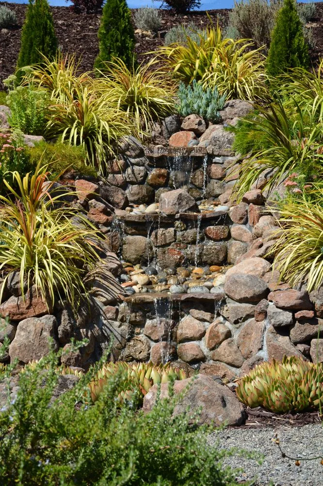 Professional yard cleanup service in Santa Rosa, CA - Manzanita Landscape & Construction