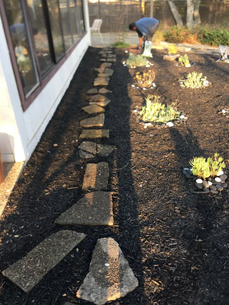 Reliable yard maintenance experts serving Salinas, CA - Manzanita Landscape Design & Management