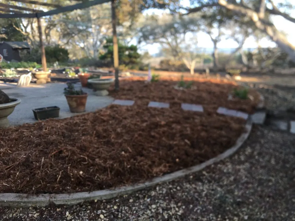 Top-rated yard cleanup service near you across Salinas, CA - Manzanita Landscape Design & Management