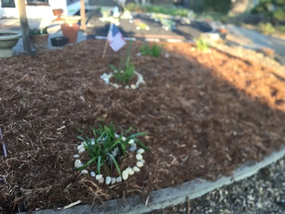 Reliable landscaping services with custom design in Salinas, CA by Manzanita Landscape Design & Management