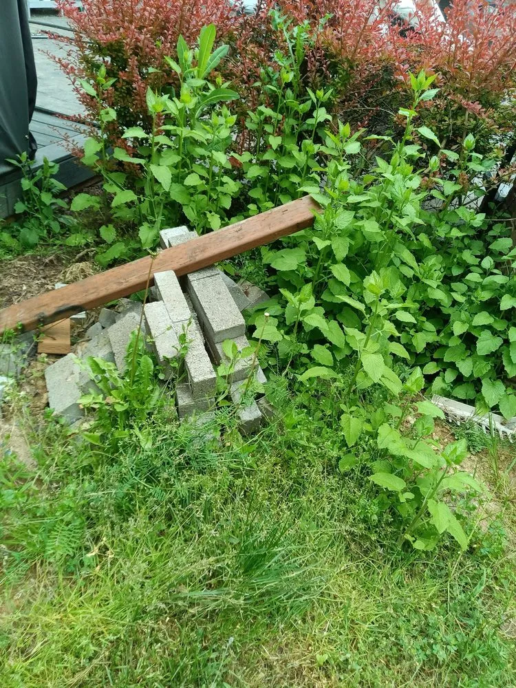 Custom outdoor landscaping in Arlington, WA by Manzano Landscaping