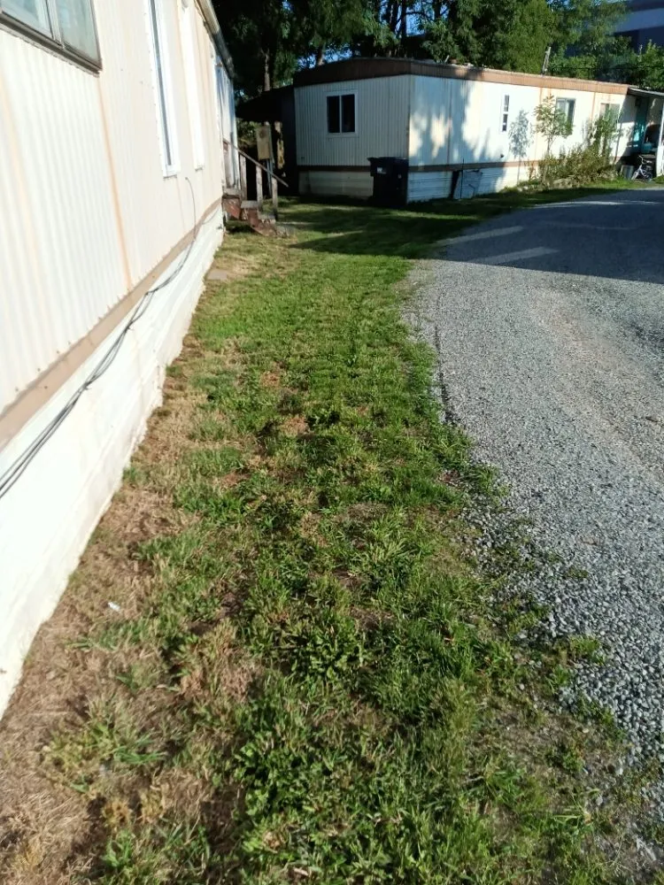 Custom landscaping services in Arlington, WA by Manzano Landscaping