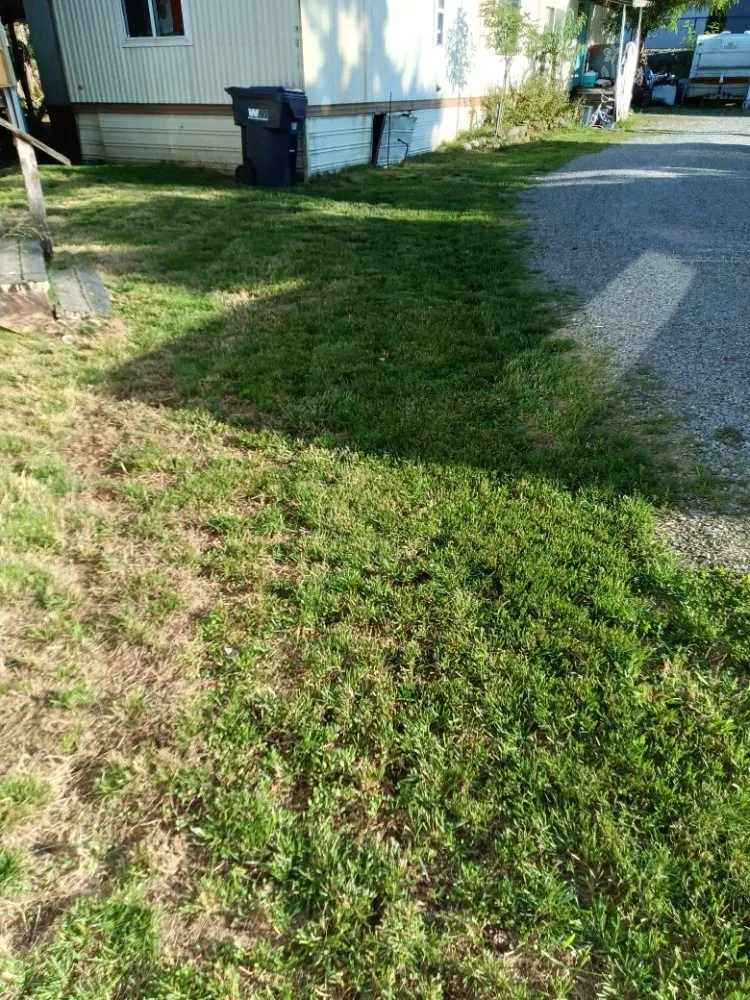 Top-rated lawn care service experts serving Arlington, WA - Manzano Landscaping