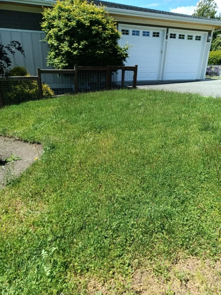 Top-rated residential landscaping in Arlington, WA by Manzano Landscaping