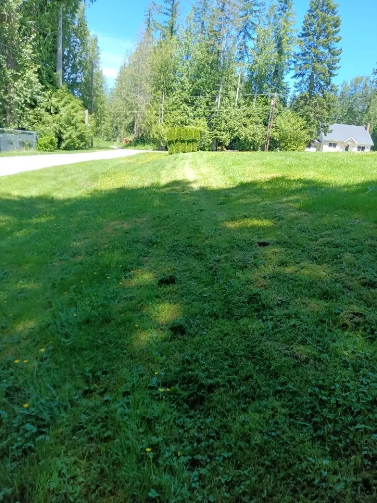 Reliable lawn mowing service for residential properties across Arlington, WA - Manzano Landscaping