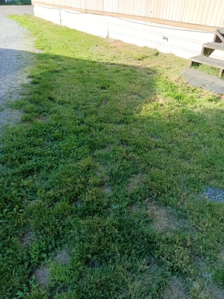 Professional residential landscaping experts serving Arlington, WA - Manzano Landscaping