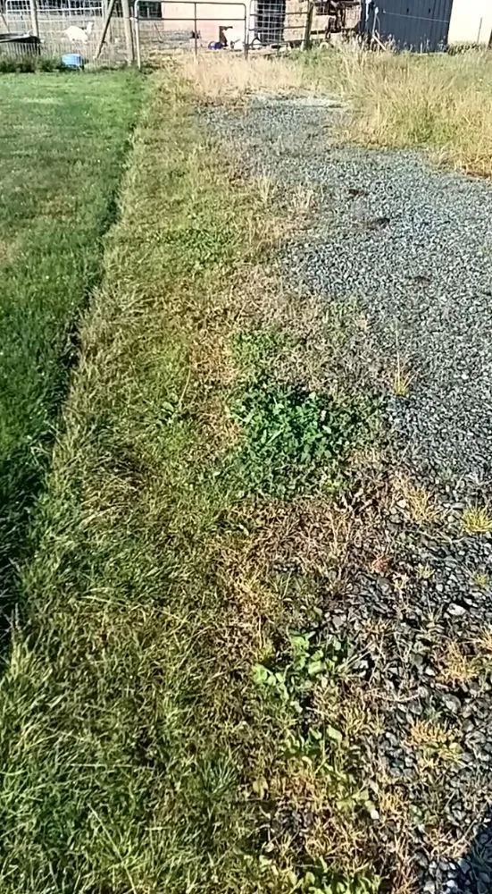 Top-rated lawn mowing service for residential properties in Arlington, WA by Manzano Landscaping