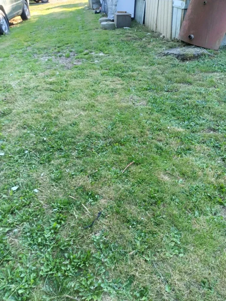 Reliable lawn mowing service in Arlington, WA - Manzano Landscaping