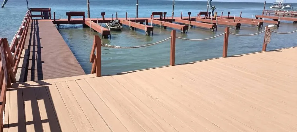 Professional landscape installation near you in Port Isabel, TX by Manzano Maintenance Services