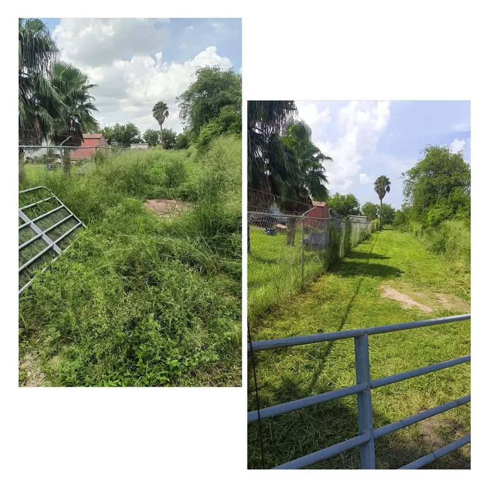 Local garden landscaping in Port Isabel, TX by Manzano Maintenance Services