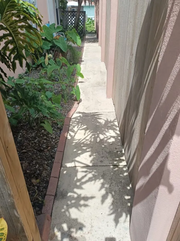 Top-rated yard cleanup service for homes across Port Isabel, TX - Manzano Maintenance Services