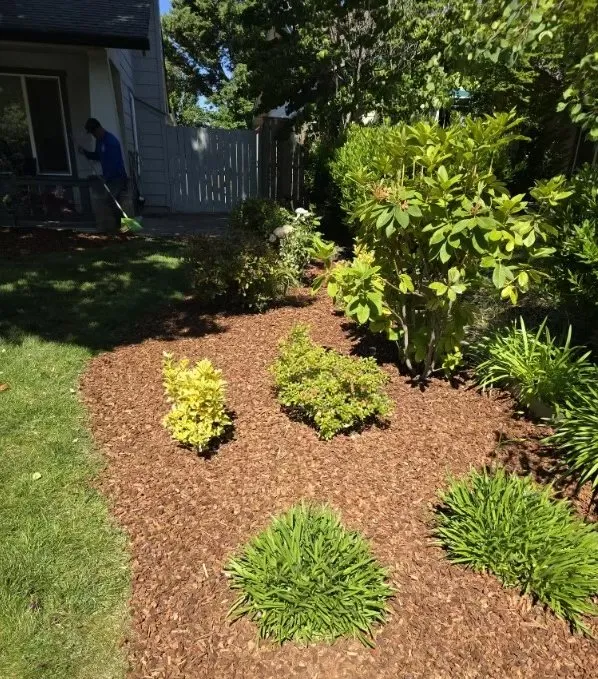 Professional lawn care service for outdoor upgrades in Medford, OR by Manzano Yard Work