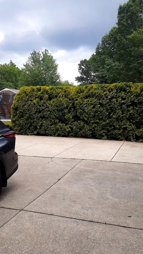 Custom lawn care service in South Euclid, OH by Manzo Landscaping